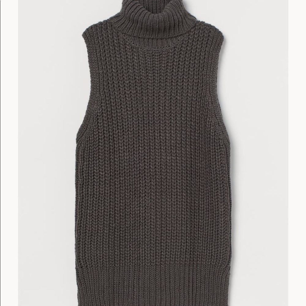 H&M Turtleneck Sleeveless Sweater